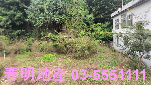 新竹關西建地_道路地-1