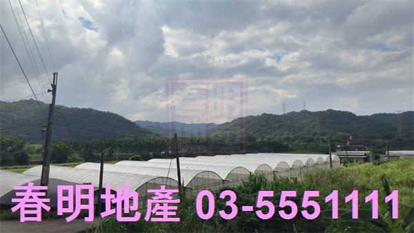 新竹關西建地_道路地-2