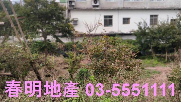 新竹關西建地_道路地-8
