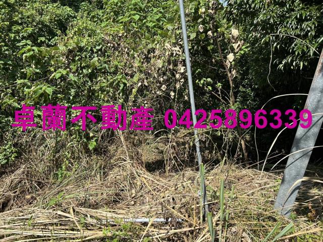 卓蘭農地_山坡地-10