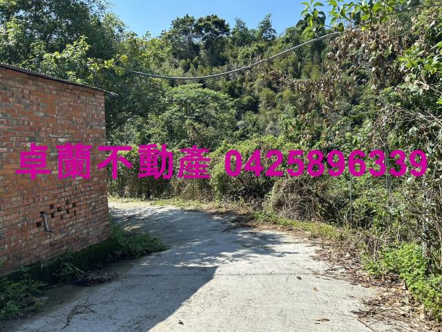 卓蘭農地_山坡地-3