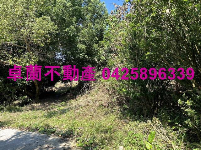 卓蘭農地_山坡地-7