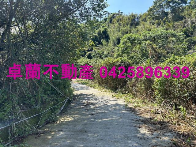 卓蘭農地_山坡地-9