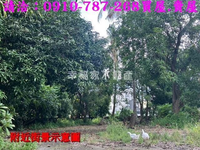 台南新化農地_建地-10