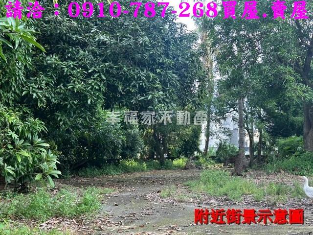 台南新化農地_建地-11