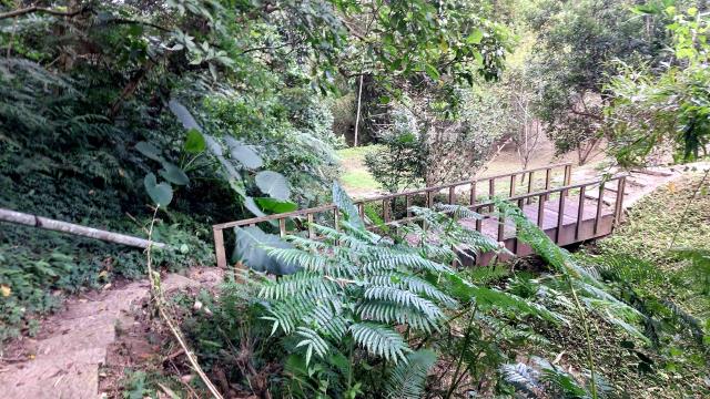 新竹關西林地-6