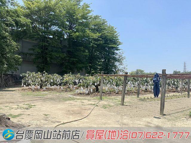 高雄農地-14