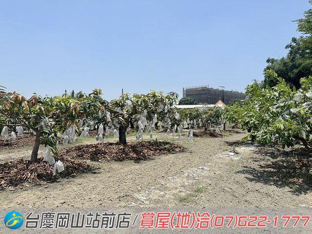 高雄農地-4