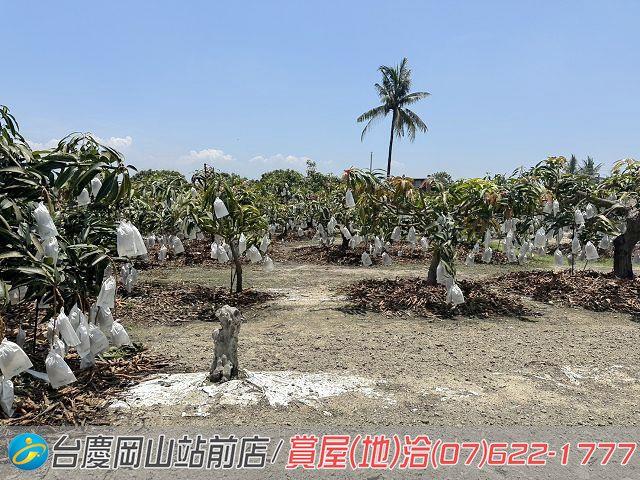 高雄農地-6