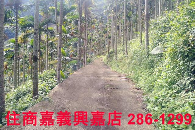 嘉義農地_林地-1