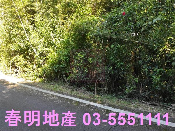 新竹關西農地-6