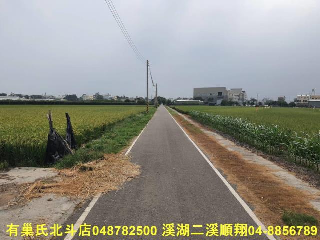 埤頭農地-3