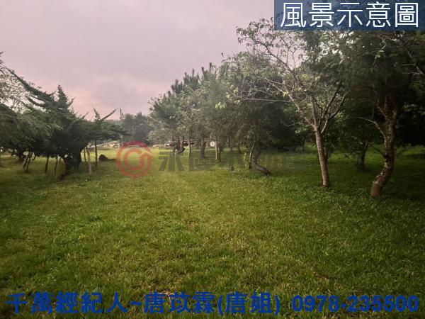 新竹關西農地-3