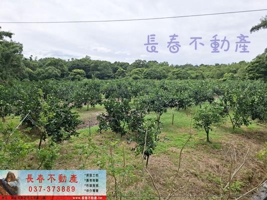 苗栗苗栗市農地_山坡地_休閒地-1