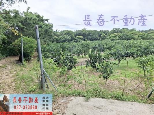 苗栗苗栗市農地_山坡地_休閒地-2
