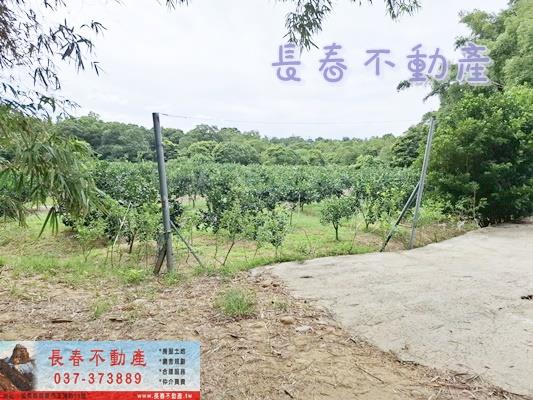 苗栗苗栗市農地_山坡地_休閒地-3