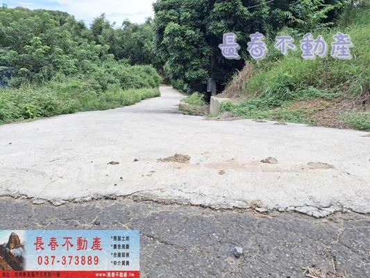 苗栗苗栗市農地_山坡地_休閒地-4