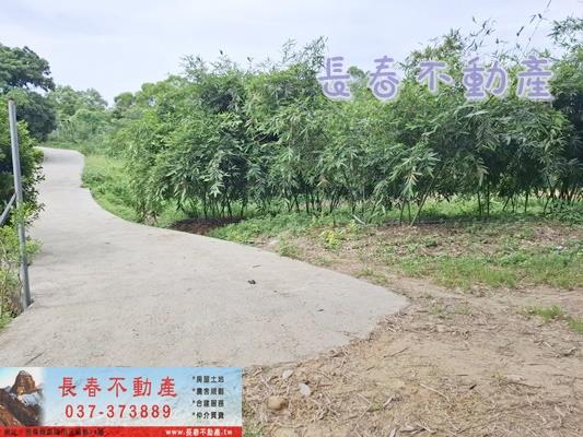 苗栗苗栗市農地_山坡地_休閒地-6