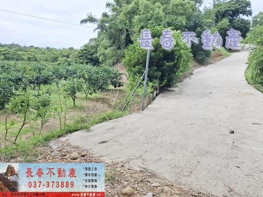 苗栗苗栗市農地_山坡地_休閒地-7