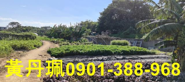 桃園農地-3