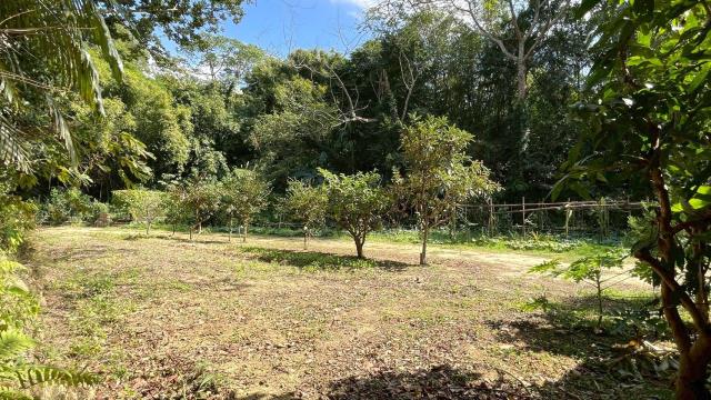 新竹峨眉農地-5