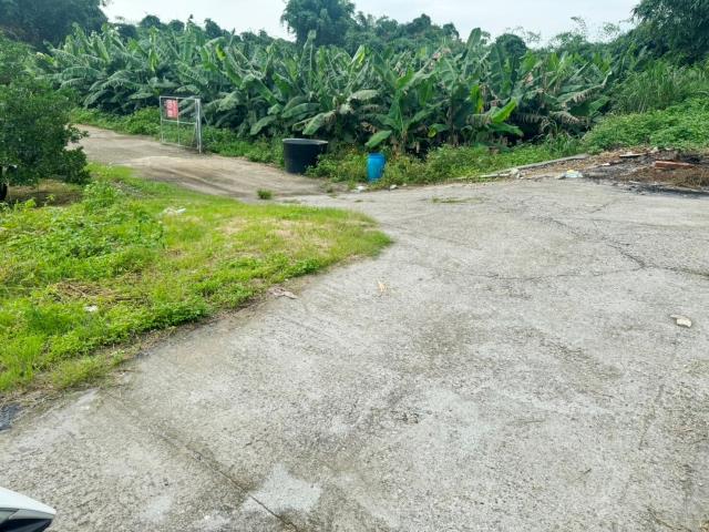 嘉義大林農地-2
