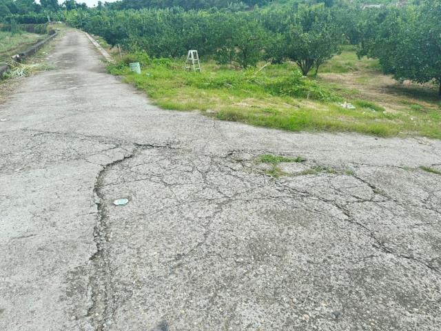 嘉義大林農地-4