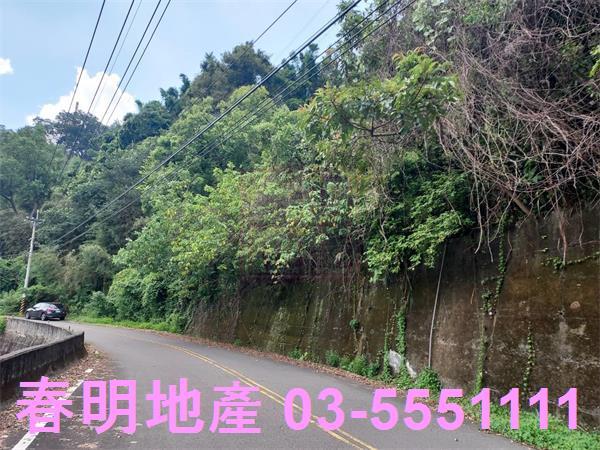 頭份林地-2