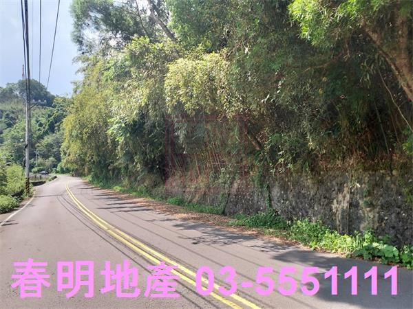 頭份林地-7