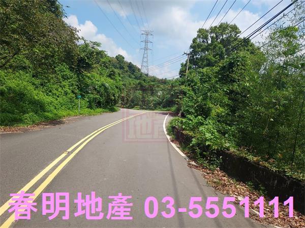 頭份林地-9
