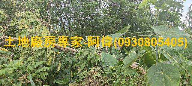 屏東農地_工業地-1