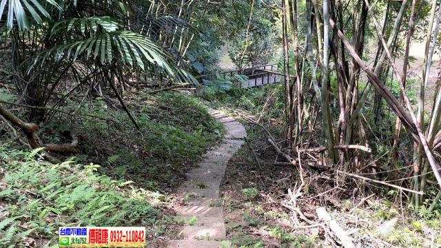 新竹林地-15
