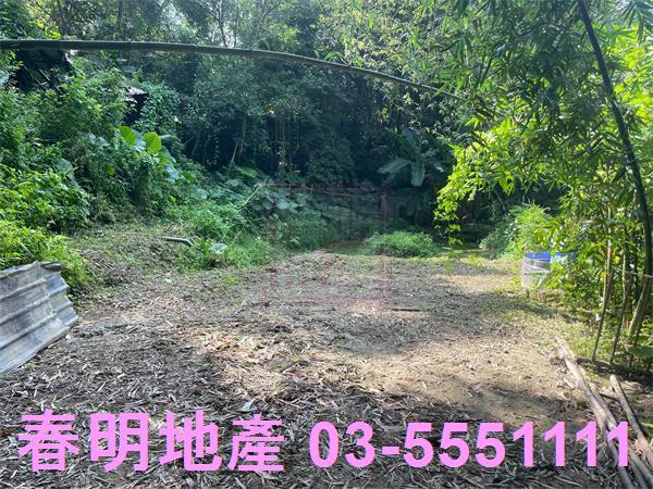 新竹峨眉農地-11