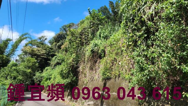 新竹芎林山坡地-2