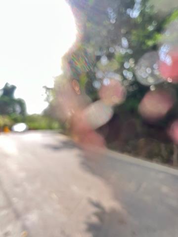 嘉義水上農舍-8