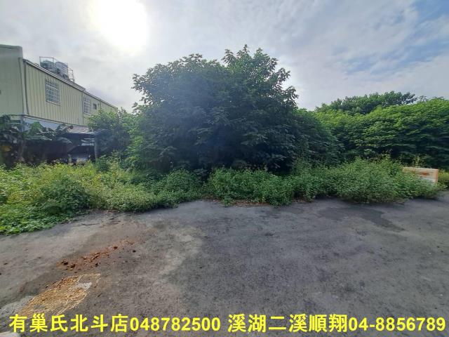 田尾農地-2