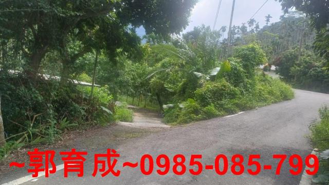 嘉義農地_山坡地-3