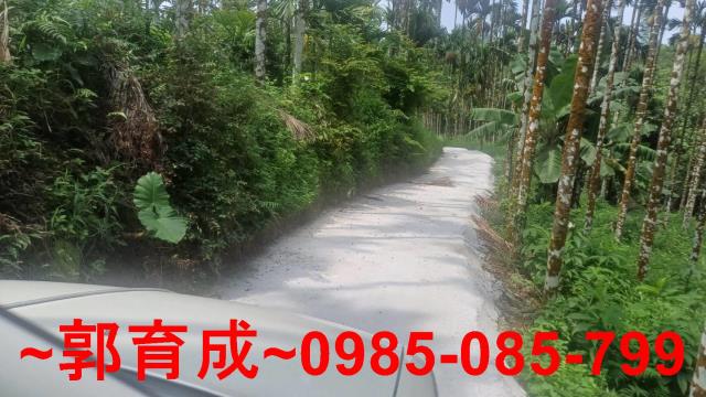 嘉義農地_山坡地-4