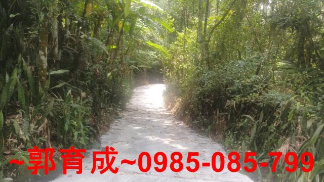 嘉義農地_山坡地-5