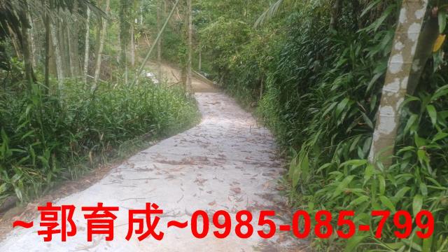 嘉義農地_山坡地-6