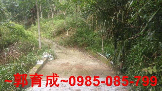 嘉義農地_山坡地-7