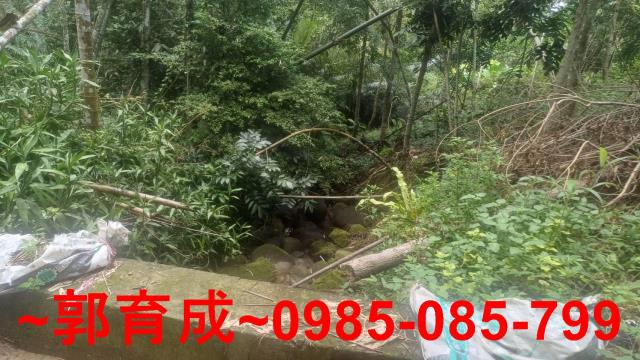 嘉義農地_山坡地-8