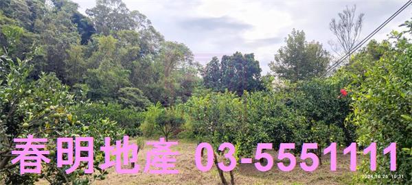 關西農地-2