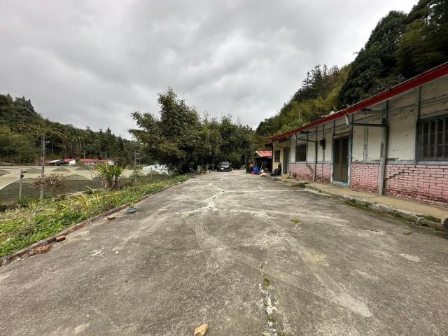 鹿谷農地_建地_山坡地-11