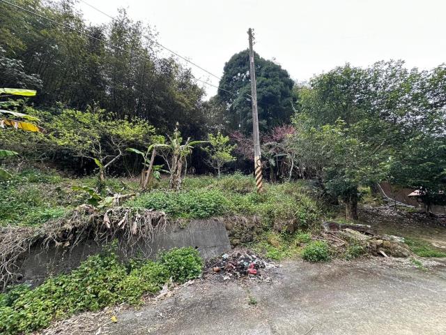鹿谷農地_建地_山坡地-12