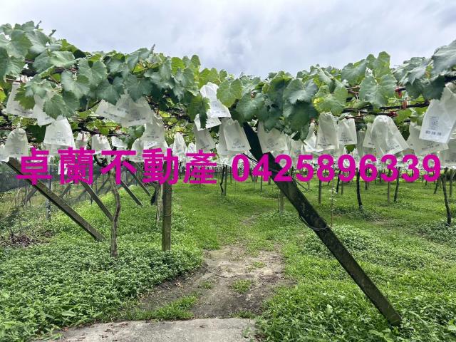 卓蘭農地_休閒地-3