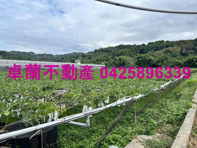 卓蘭農地_休閒地-5