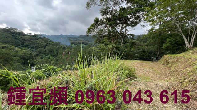 新竹北埔農地_山坡地_休閒地-14