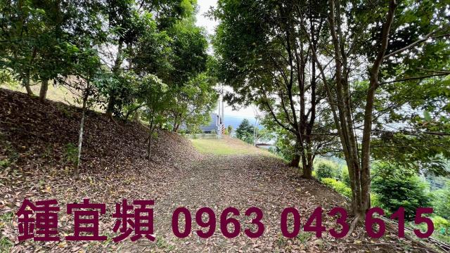 新竹北埔農地_山坡地_休閒地-1