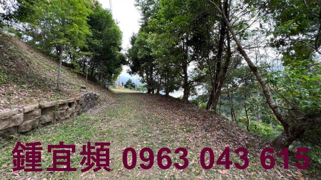 新竹北埔農地_山坡地_休閒地-2